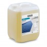 RM 768 Carpet Cleaner 10L 